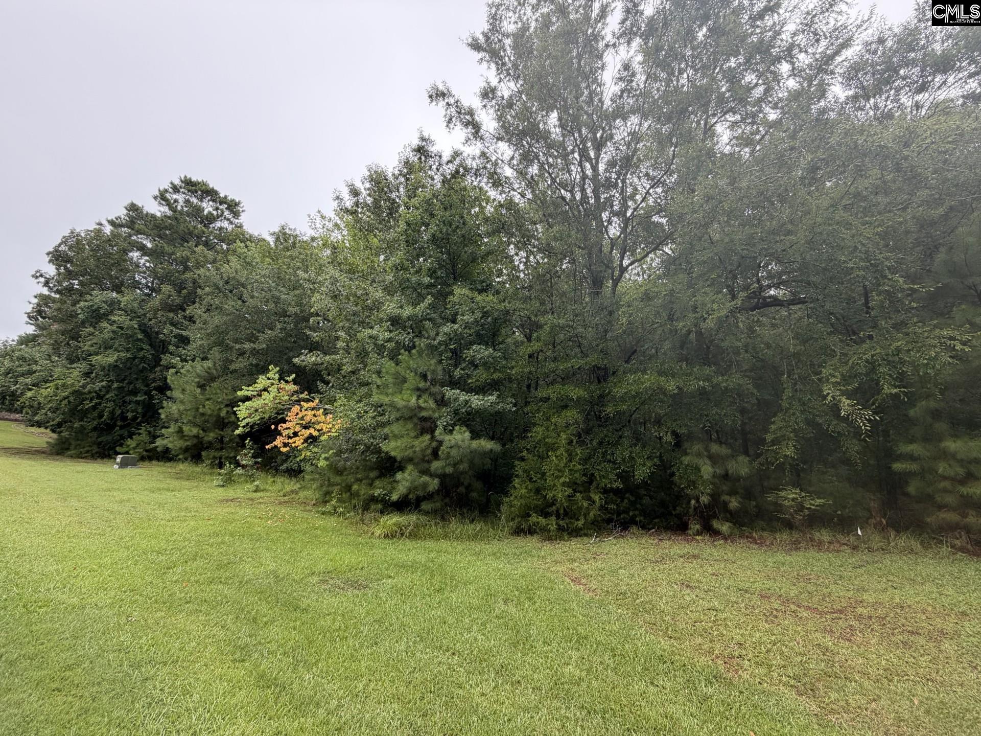 Lot 62 Harbor View Drive, Prosperity, SC, 29127