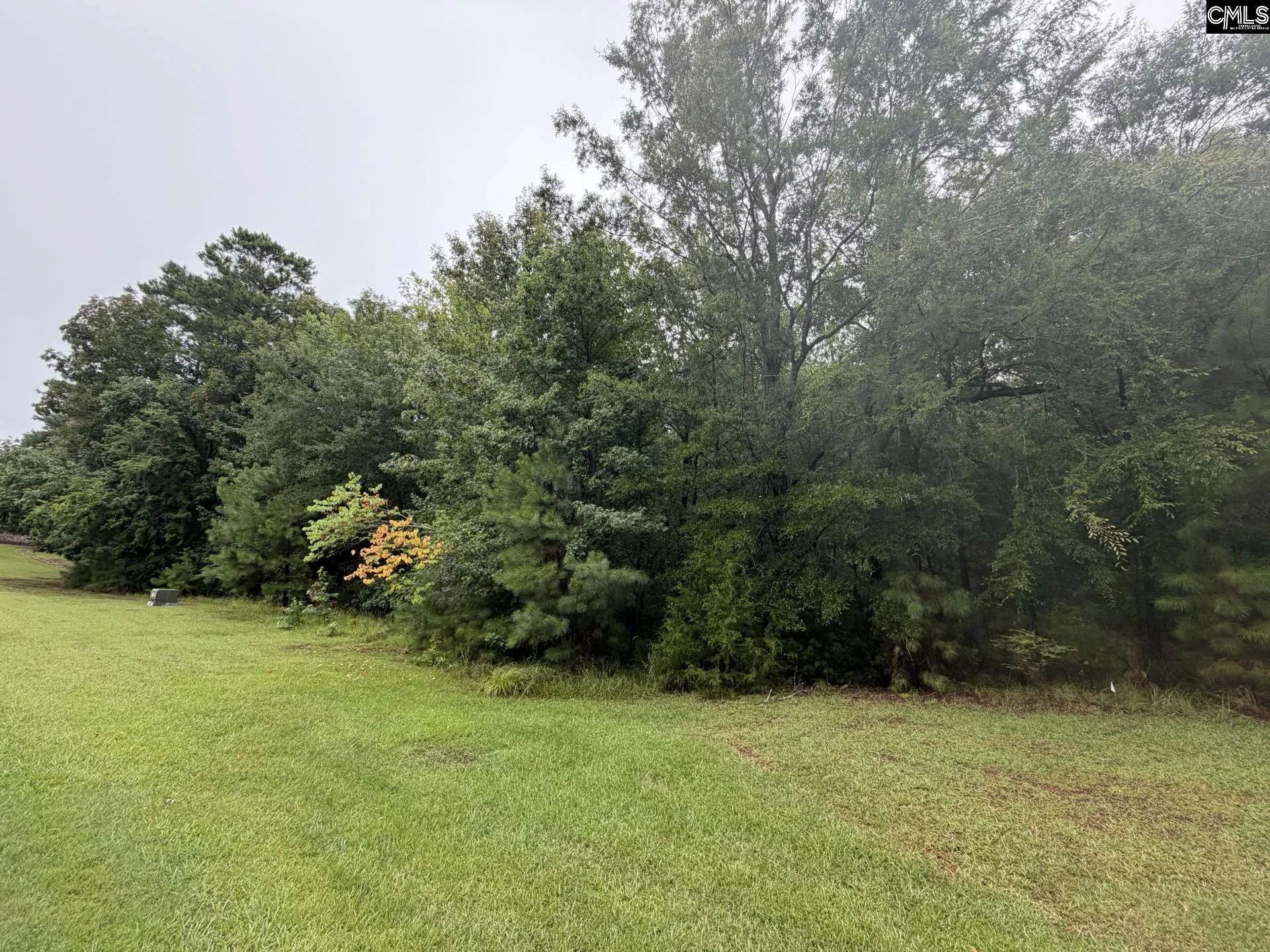 Lot 62 Harbor View Drive, Prosperity, SC, 29127