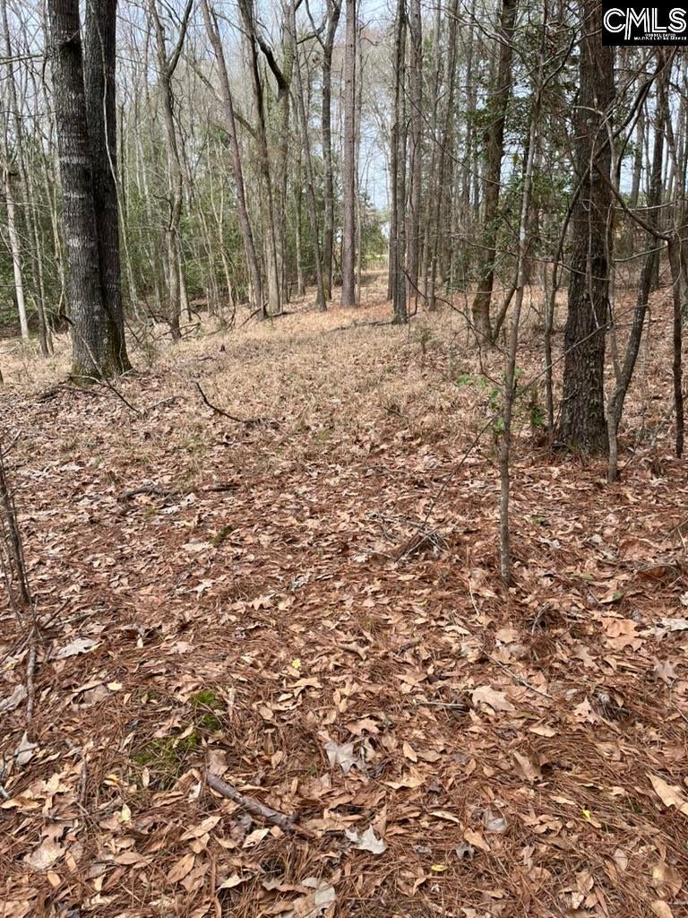 Lot 62 Harbor View Drive - Photo 4