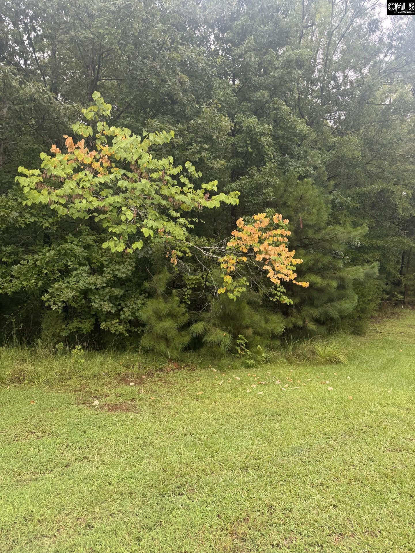 Lot 62 Harbor View Drive - Photo 3
