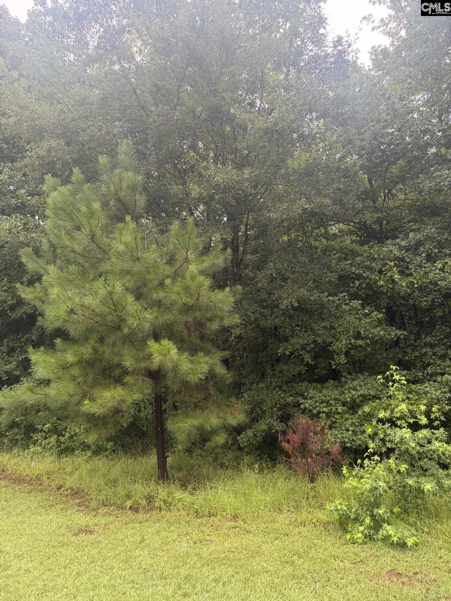 Lot 62 Harbor View Drive - Photo 2