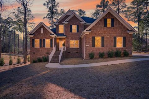 Photo of 509 Links Pointe Court, Chapin, SC 29036 (MLS # 624980)
