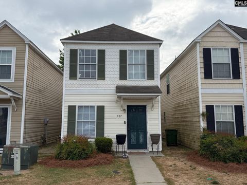 Photo of 527 Summit Terrace Court, Columbia, SC 29229 (MLS # 632884)
