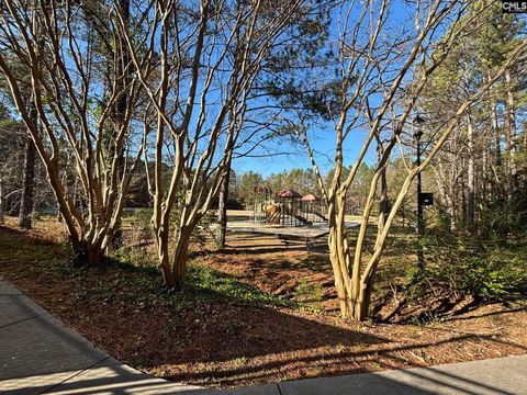 A home in Irmo