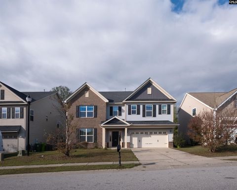 A home in Chapin