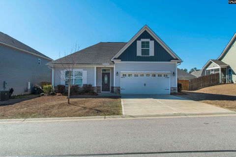 Photo of 147 Doolittle Drive, Chapin, SC 29036 (MLS # 630591)