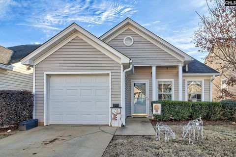 Photo of 108 Merowey Court, Chapin, SC 29036 (MLS # 624151)