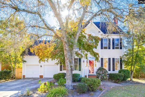 Photo of 3 Holly Hedge Court, Blythewood, SC 29016 (MLS # 621661)