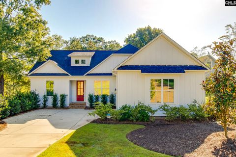 Photo of 196 Osprey Pointe Lane, Prosperity, SC 29127 (MLS # 610969)