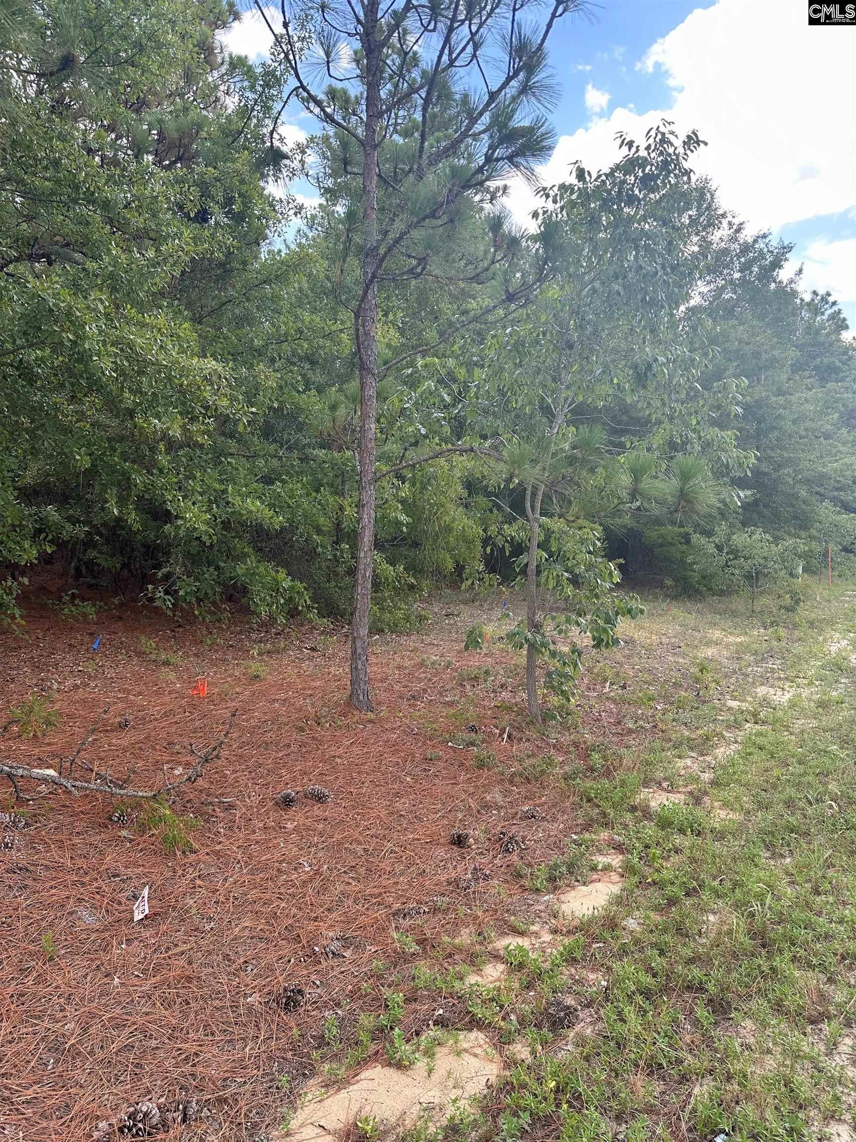 Photo 1 of 4 — 1148 Hwy1 South, Lugoff, SC 29078