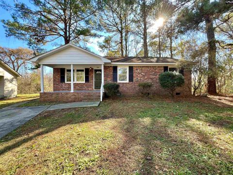 Photo of 249 Savannah Drive, Columbia, SC 29203 (MLS # 623133)