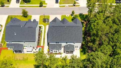 A home in Chapin