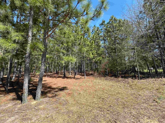 124 B MIMOSA DR, GASTON, SC 29053 - Image 398ef5128e8d672086ceff19a20f7ee4/4018058657