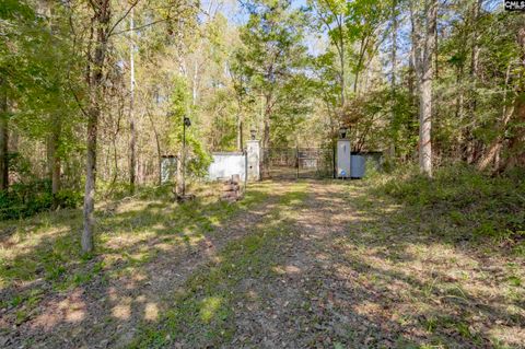 A home in Chapin