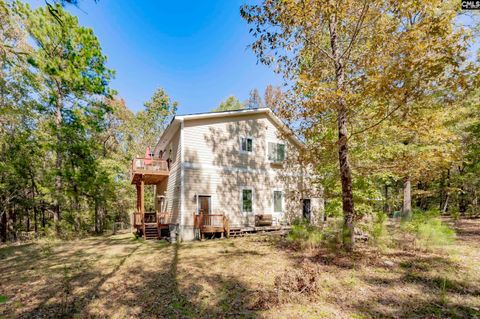 A home in Chapin