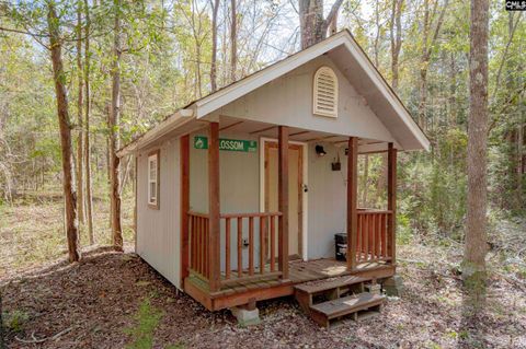 A home in Chapin