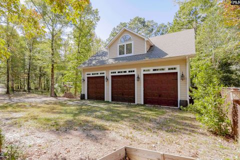 A home in Chapin