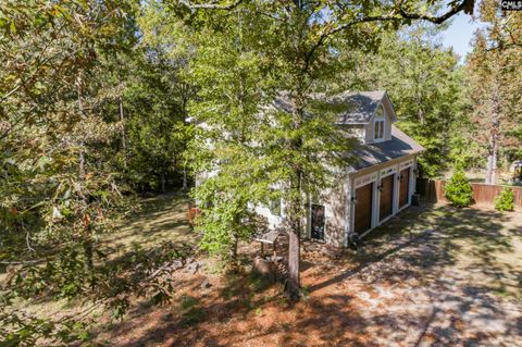 A home in Chapin