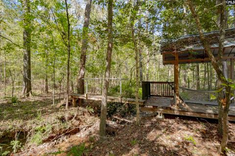 A home in Chapin