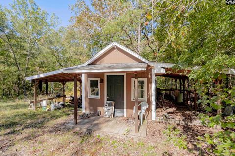 A home in Chapin