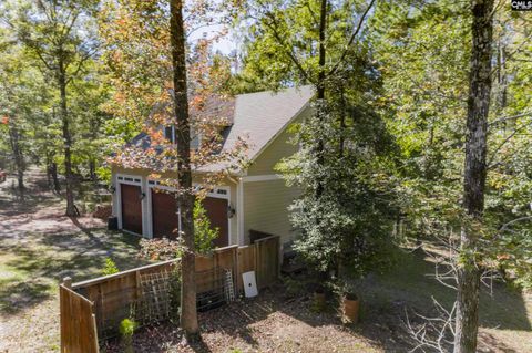 A home in Chapin