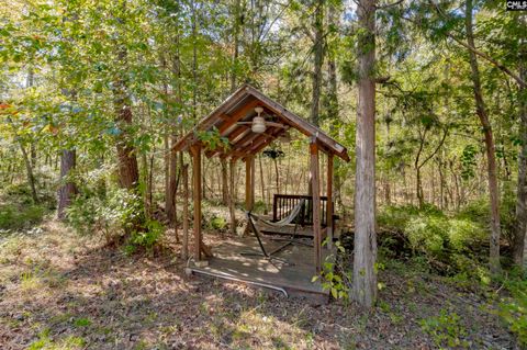 A home in Chapin