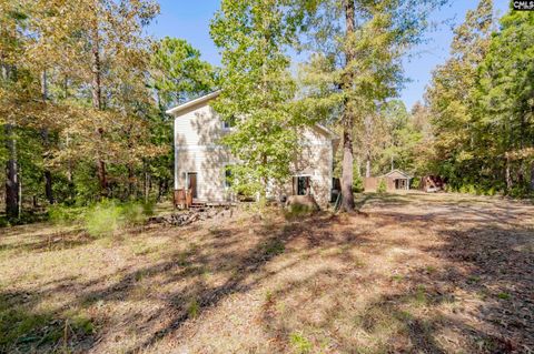 A home in Chapin