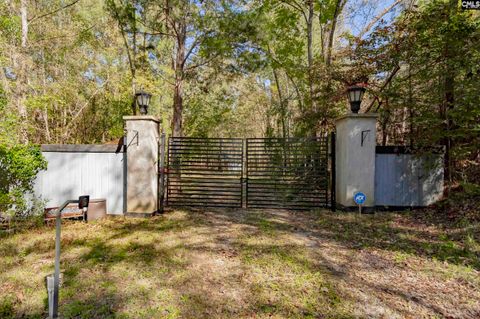 A home in Chapin