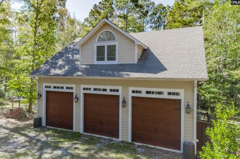 A home in Chapin