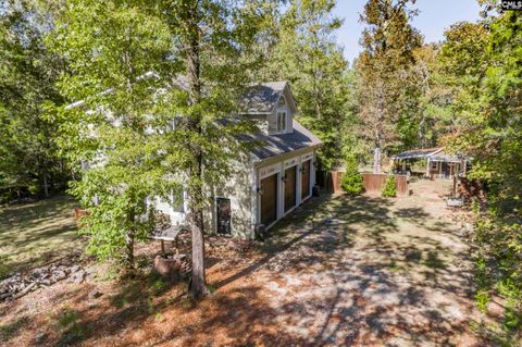 A home in Chapin