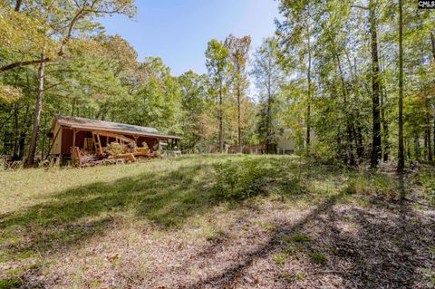 A home in Chapin