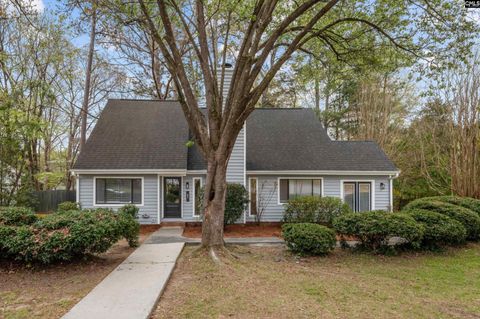 Photo of 1 Pioneers Point Court Ct, Irmo, SC 29063 (MLS # 634044)
