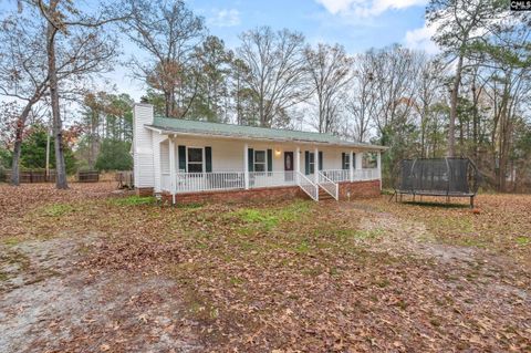 Photo of 1661 Old Lexington Highway, Chapin, SC 29036 (MLS # 623722)