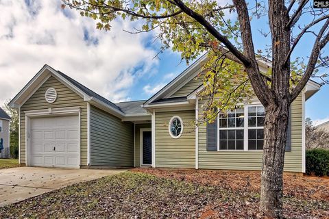 A home in Chapin