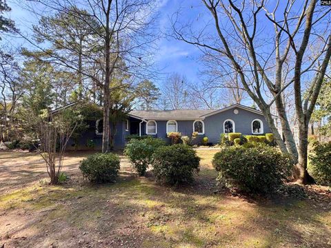 Photo of 1616 Quail Valley Drive W, Columbia, SC 29212 (MLS # 628633)