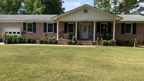 Photo of 142 Chillingham Road, Irmo, SC 29063 (MLS # 631150)