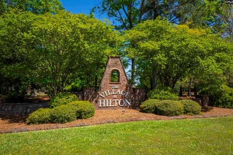 Photo of 2 HILTON GLEN COURT Ct, Chapin, SC 29036 (MLS # 631384)