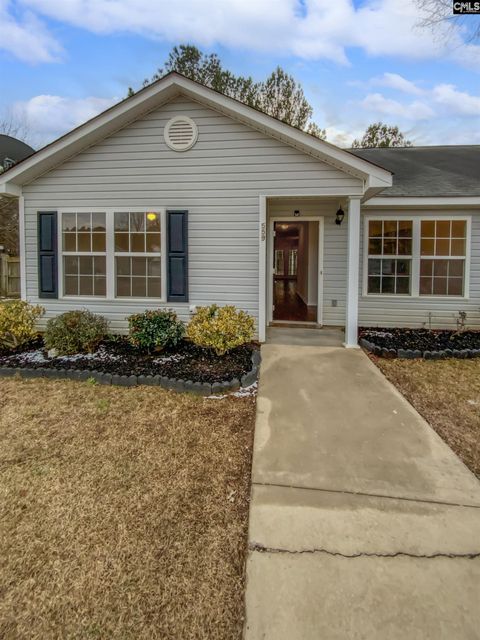 A home in Chapin