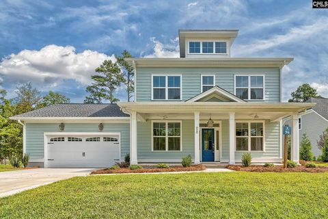 Property photo of 820 Elms Spinney Lane, Chapin, SC 29036