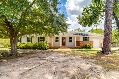 Photo of 2006 Mary Hill Drive, Columbia, SC 29210 (MLS # 621377)