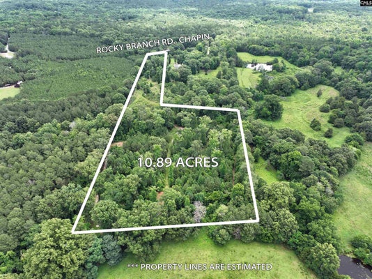ROCKY BRANCH RD, CHAPIN, SC 29036 - Image 3b330ec2863c7ce331538ea8cdee6a5e/182707142