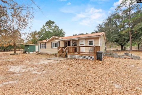 Photo of 278 Megill Drive, Pelion, SC 29123 (MLS # 623592)