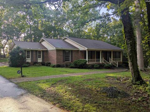 Photo of 779 Hope Ferry Road, Lexington, SC 29072 (MLS # 623348)