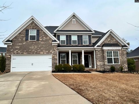 Photo of 60 Fork Branch Court, Irmo, SC 29063 (MLS # 625508)