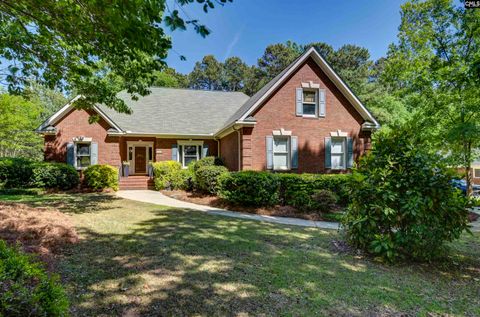 Photo of 701 Gasque Court, Lexington, SC 29072 (MLS # 631849)