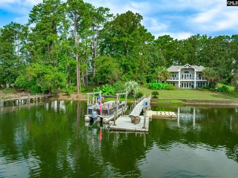 A home in Chapin