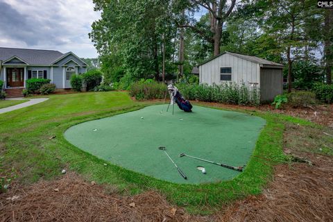 A home in Chapin