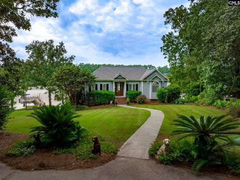 A home in Chapin