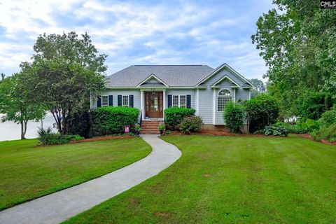 A home in Chapin