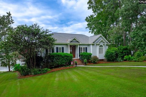 A home in Chapin